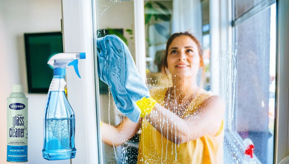 Sprayway Glass Cleaner